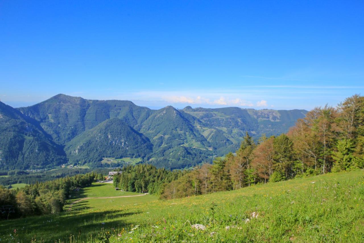Hotel Hochberghaus 3*